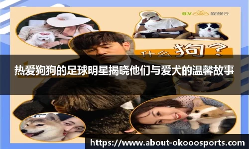 热爱狗狗的足球明星揭晓他们与爱犬的温馨故事